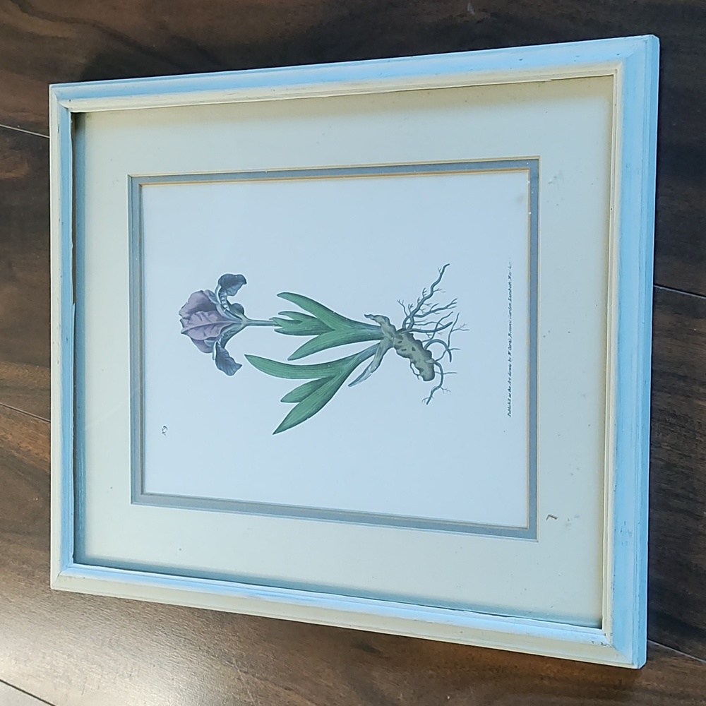 Orchid Botanical Framed Print